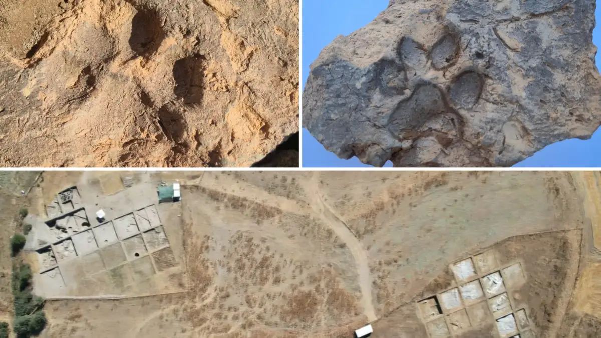 4 bin yıl öncesinden kalan pati izleri gün yüzüne çıktı